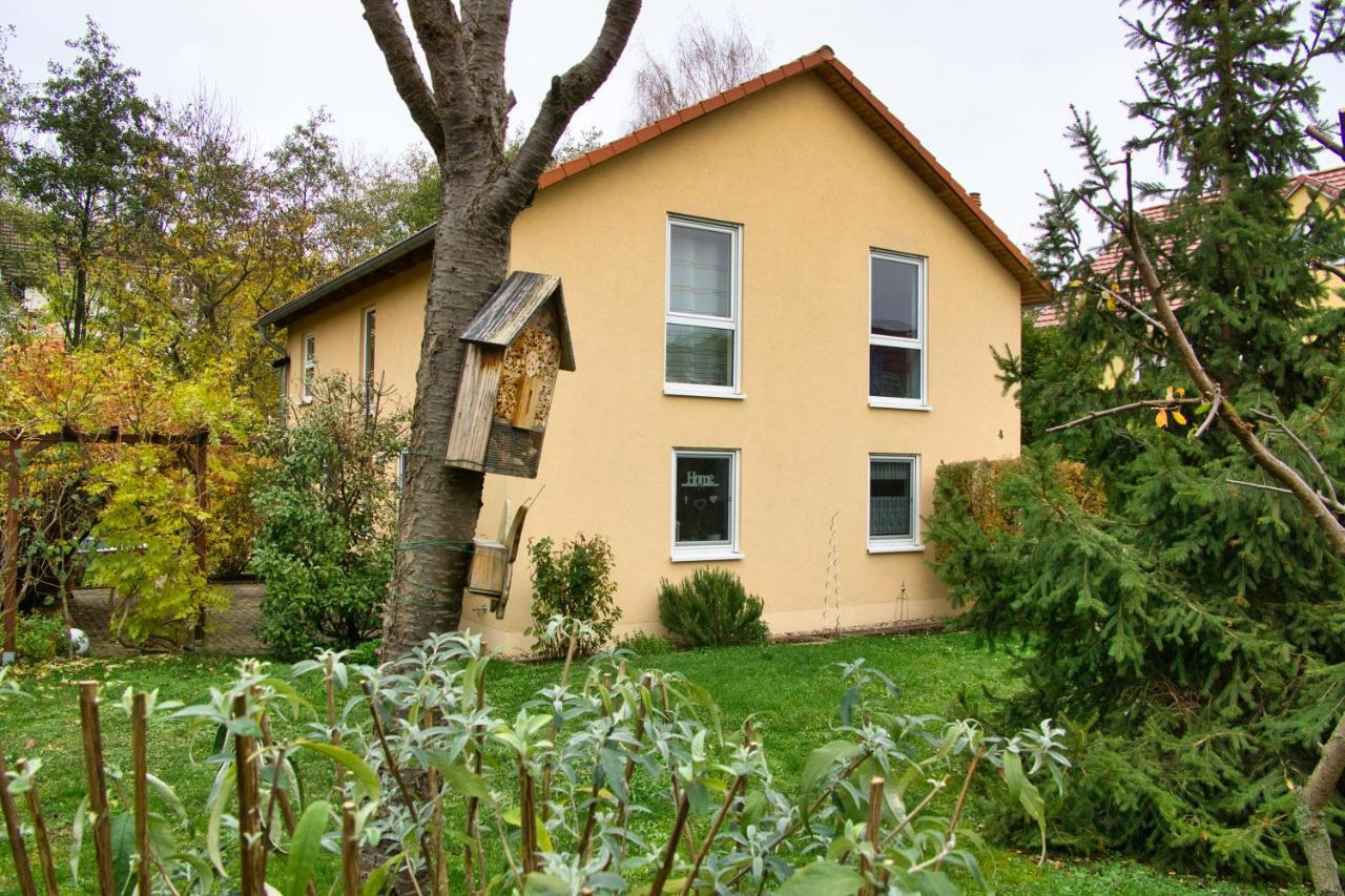 Mycozyplace - Gemuetliches Zimmer Fuer Zwei Dresden Exterior foto